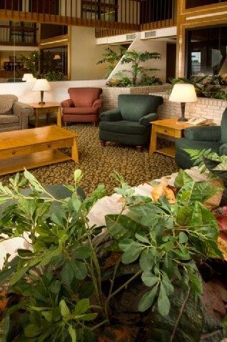 Pear Tree Inn ماكالين المظهر الداخلي الصورة
